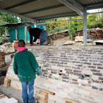 Kigbeare Kiln Project - 